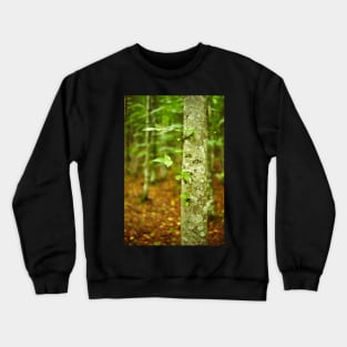 Hornbeam forest on summer Crewneck Sweatshirt